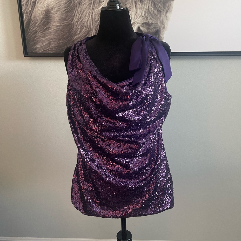 Sparkly Purple Top size XL